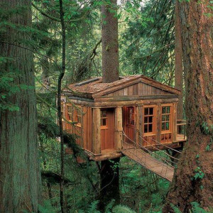 Tree Houses for Adults (40 pics)