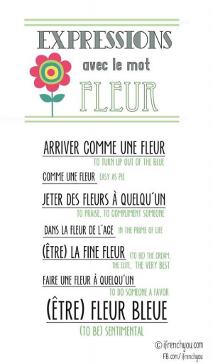 French expressions with the word flower.
