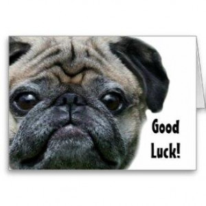 Good Luck Boxer Dog...