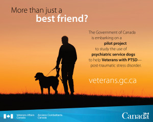 ... announces service dogs pilot project to support Veterans with PTSD