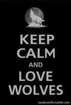 ... wolf lovers favorite animal wolves 3 quotes p wolves werewolves wolves
