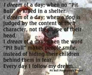 Inspirational pit bull pictures and sayings. (Facebook.com)