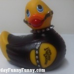 sm bath duck 150x150 Funny SM Bath Duck