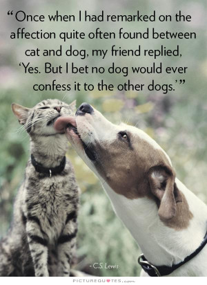 Dog And Cat Friends Quotes Cat And Dog my Friend