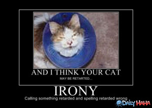 BLOG - Funny Ironic Sayings