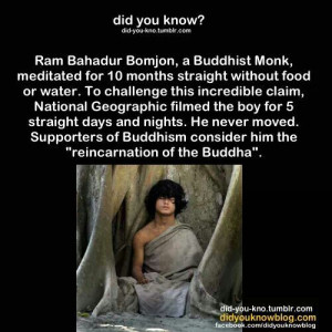 Possible reincarnation of the Buddha