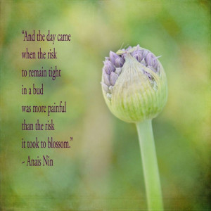 Home | anais nin quotes Gallery | Also Try: