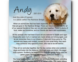 Dog Quotes Loss For dog, cat pet loss pet