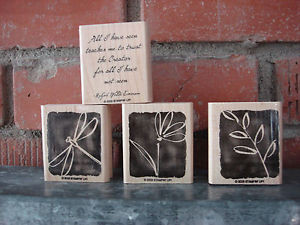 ... Have-Seen-Stampin-Up-set-R-W-Emerson-Quote-Dragonfly-Flower-Leaves