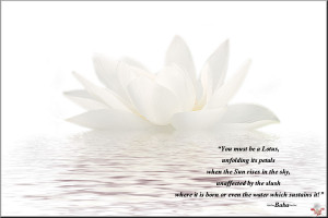 Quotes of Bhagavan Sri Sathya Sai Baba