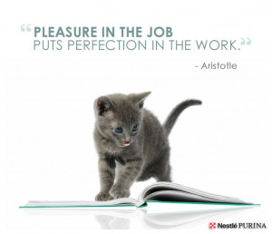 Quotes #Purina #Aristotle #Cats #Kittens