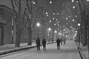 Christmas Lights on Locust Walk at University of Pennsylvania- These ...
