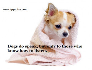 dog-quotes (2)