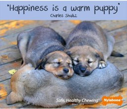 Happiness is a warm puppy.” -Charles Schulz
