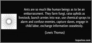 Ants are so much like human beings as to be an embarrassment. They ...