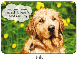... like our inspirational quotes delivered by inspirational guide dogs