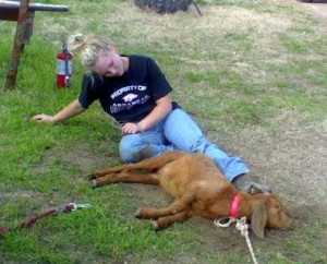 ... goat tying in this picture she is exhausted and so is the poor goat