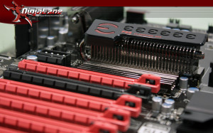 Tattoodonkey Nice Women Arm...