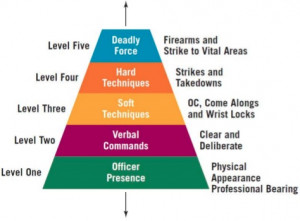 law enforcement force continuum chart