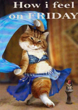 How I Feel On Friday Belly Dance Cat