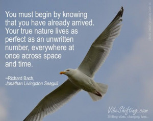 Seagull #quote Motivation Quotes, Quotes Ideas, Seagull Quotes ...