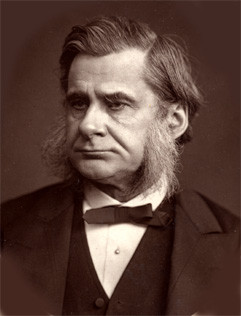 Woodburytype print of Huxley (1880 or earlier)