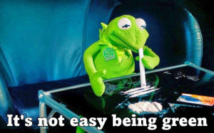 Kermit The Frog Cocaine 1680X1050 Wallpaper Www.Wallpaperhi.Com