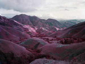 Richard Mosse's infrared photographs of the Congo quotes W. G. Sebald ...