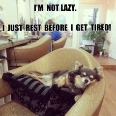 Funny Nap Quotes | Funny Sleep Quotes