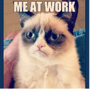 Grumpy Cat Work Rants
