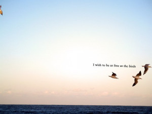 birds,bird,freedom,flight,quotes,free-dbae6adbc2b523f4728de63a3f3fbe47 ...