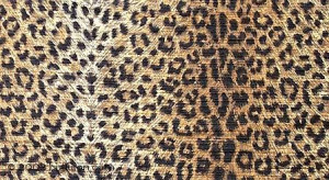 Cheetah print Image