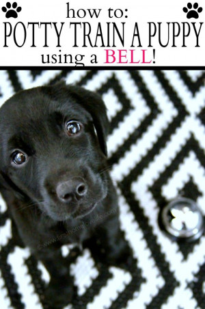 Potty Training Puppy Using a Bell-Pavlov would be proud! Will try it ...
