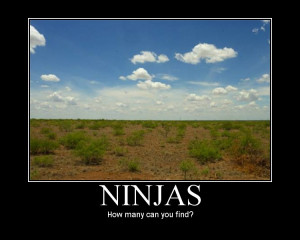 Funny Quotes Contact Us DMCA Notice