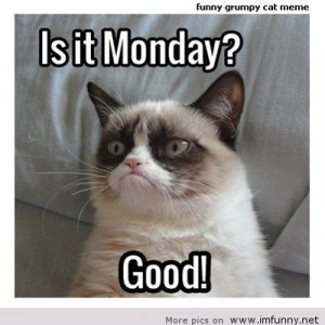 grumpy cat monday where would a monday be without a grumpy cat meme ...