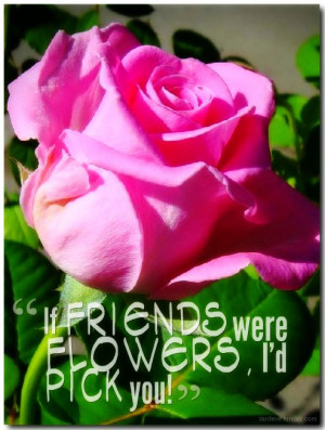 If friends were flowers, I’d pick you”