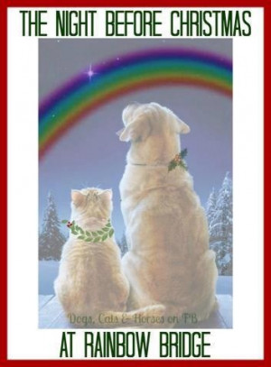Remembering all my dogs and cats who are waiting for me at the Rainbow ...