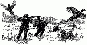 Risky Business – A Guide to Hunting & Gun Safety