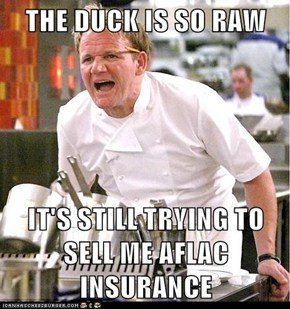 Lol Gordon Ramsey Memes Never