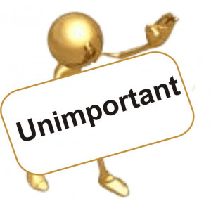 The importance of finding the unimportant things in Life and Work