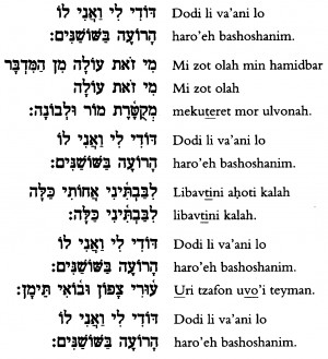 Hebrew Tattoo Phrases