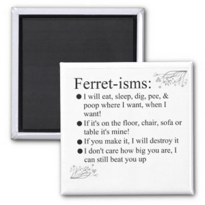 ferret_pictures_sayings_and_quotes_magnet ...