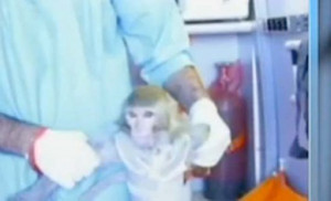 experience civilization and not to see if the rocket could make it to ...