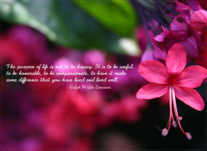 Wallpaper: Quotes-Purpose of life Wallpapers With Quotes
