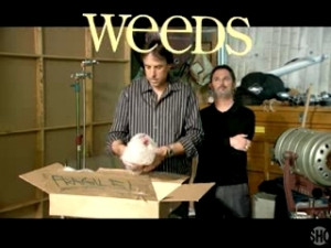 Kevin Nealon Quotes From Weeds http://www.popscreen.com/tagged/Kevin ...