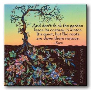 ... in winter.. It's quiet, but the roots are down there riotous.. ~ Rumi