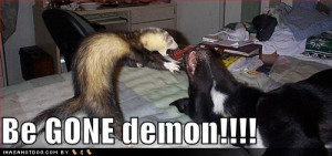 Anyhow, it was pretty darned cool!