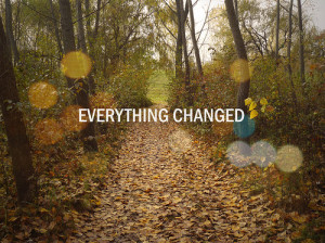 autumn, change, everything, forest, future, leaves, past, present ...