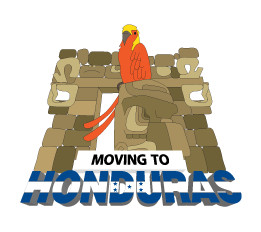 INTL MOVERS | Get 6 FREE Quotes: