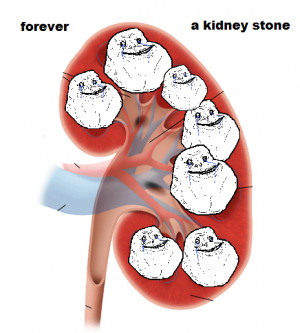 Funny Kidney Pictures